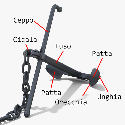 Parti delle ancore e ancora ammiragliato