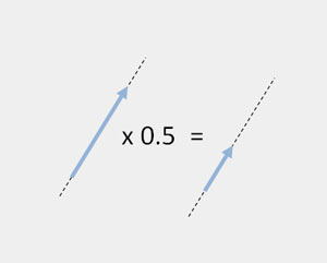 Moltiplicazione scalare