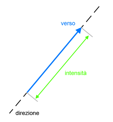 Rappresentazione vettoriale