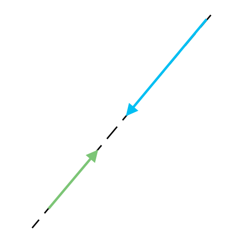Vettori diversa intensità, stessa direzione e verso opposto
