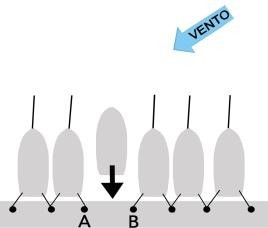 Immagine quiz patente nautica